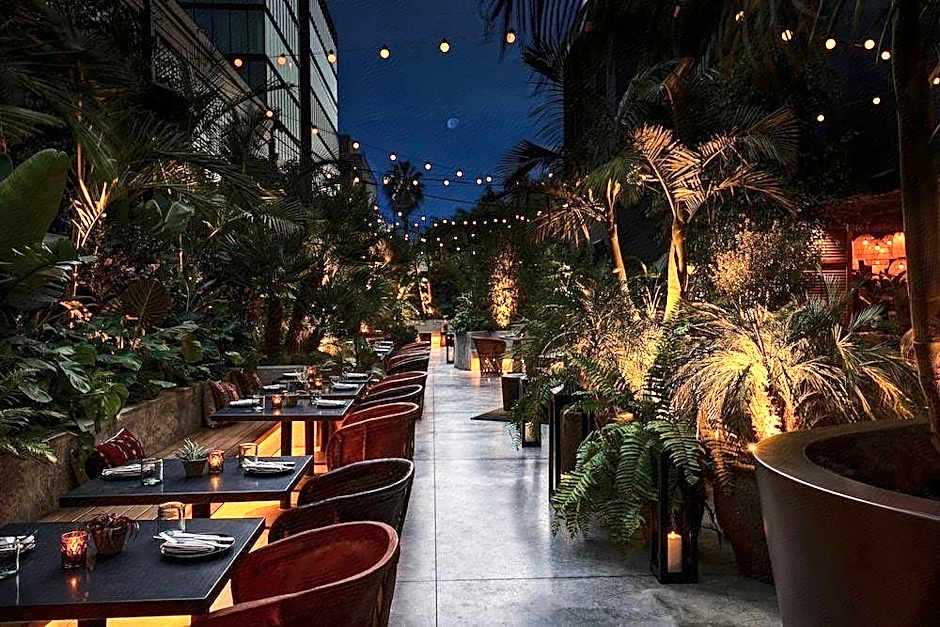 tommie Hollywood, part of Jdv by Hyatt