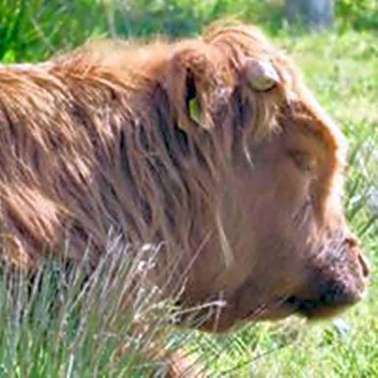 Windhaven Camping and B&B