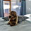 Hotel Marmotte