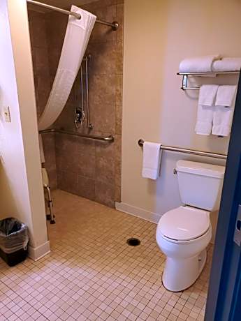 Single Room - Disability Access