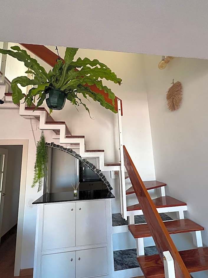 Private Double Room in a Shared Penthouse with Patios