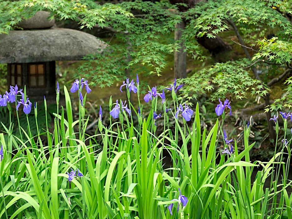 Nanzenji sando KIKUSUI