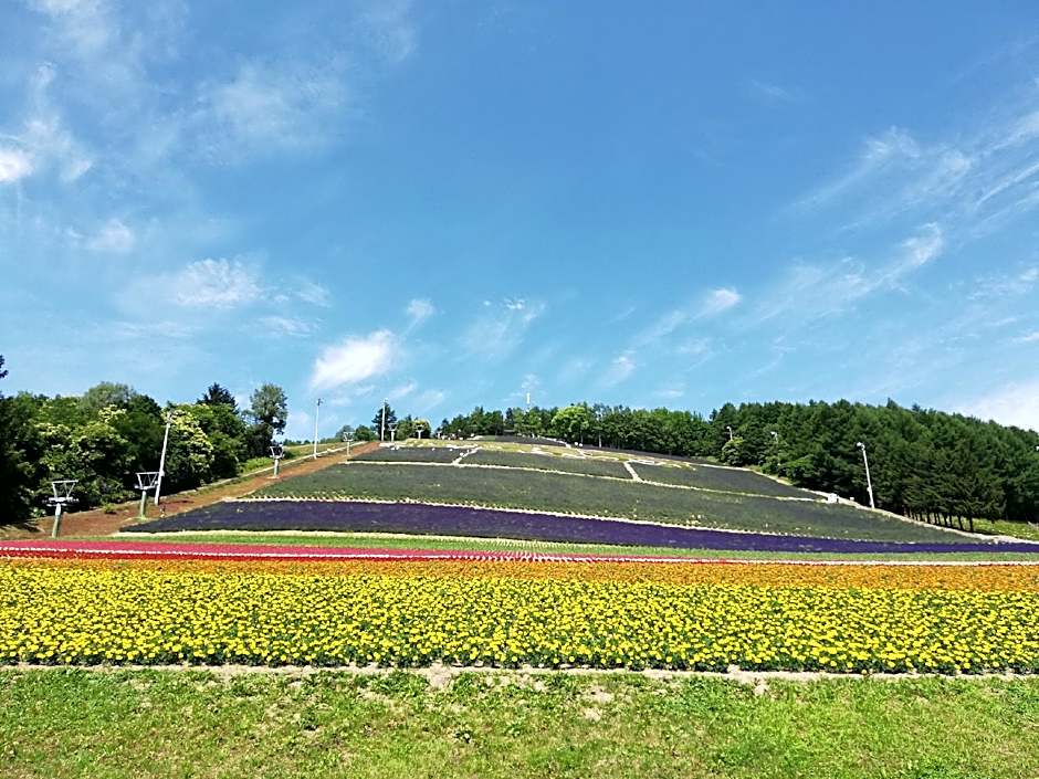 hotel hanafuji inn