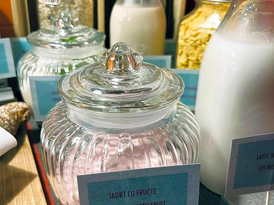 ibis Styles Dunarea Galati