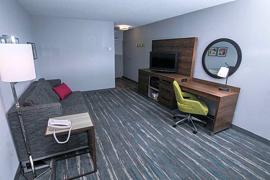 Photo 1 of 16 of 1 Bedroom 1 King Bed with Sofabed Suite