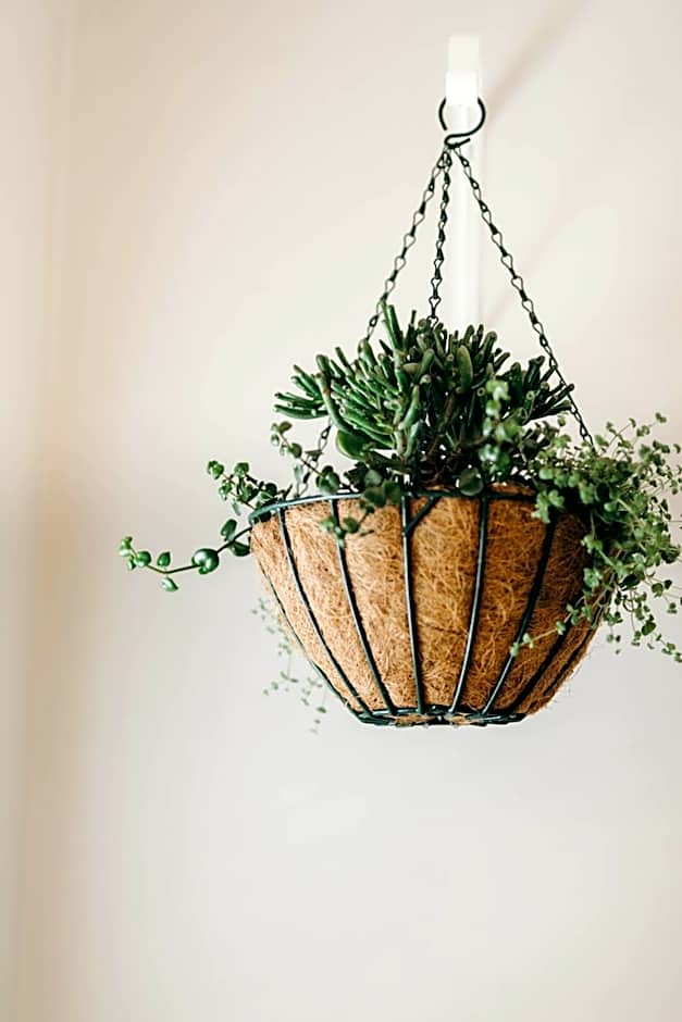 Robberg Beach Lodge - Lion Roars Hotels & Lodges