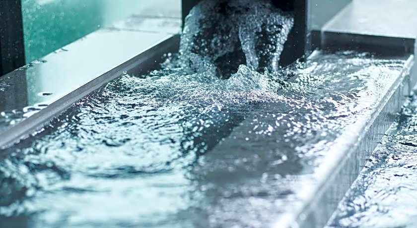 Fujisan Mishima Tokyu Hotel