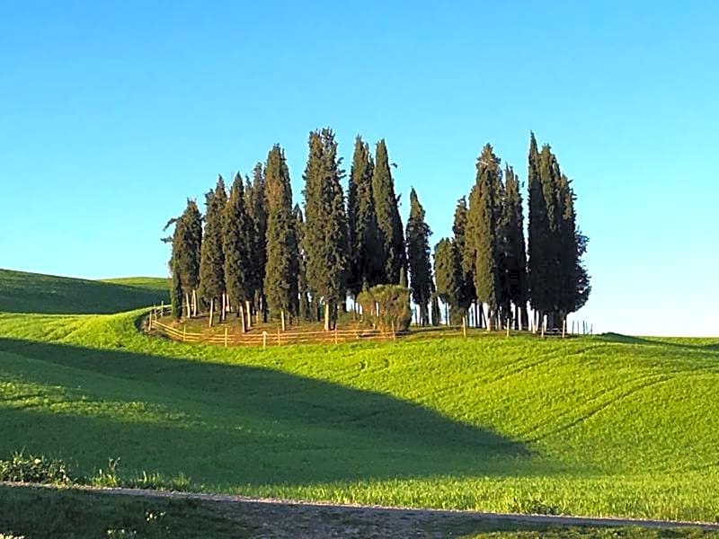 Camera La Margherita