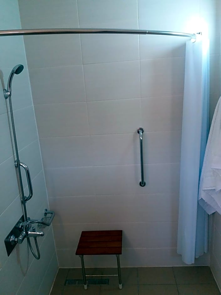 Delphini Studios - for the disabled