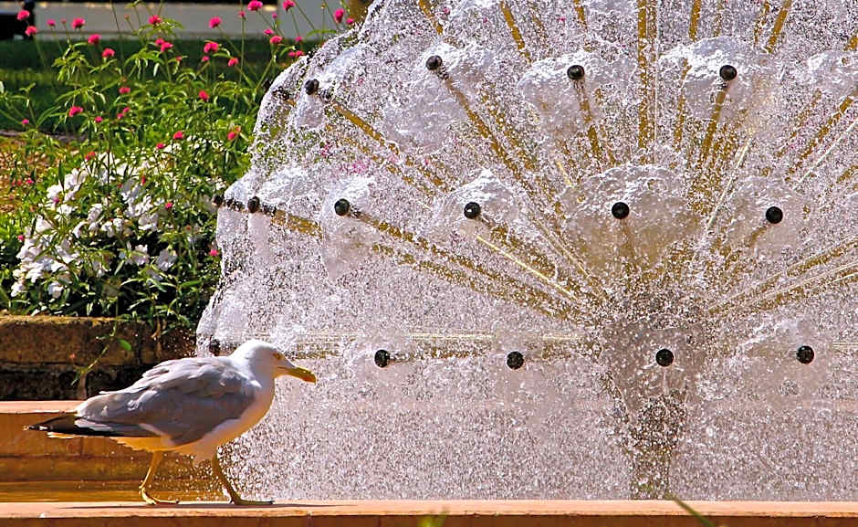 Hotel Eldorado, Depandance & Apartments