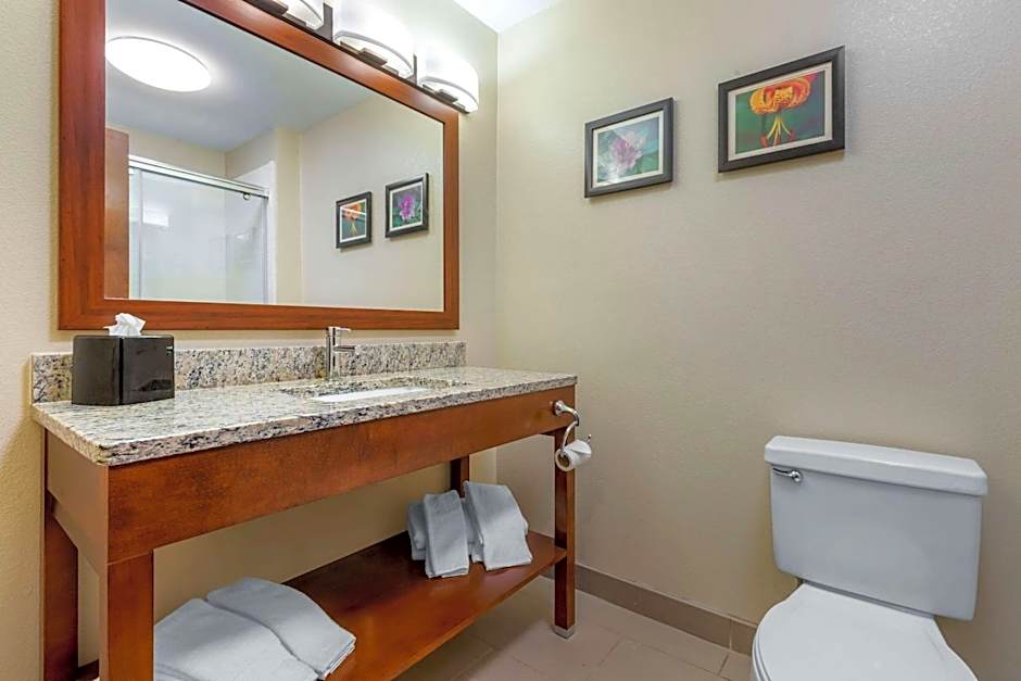 Comfort Inn & Suites Lenoir Hwy 321 Northern Foothills