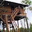 Rumah Pohon