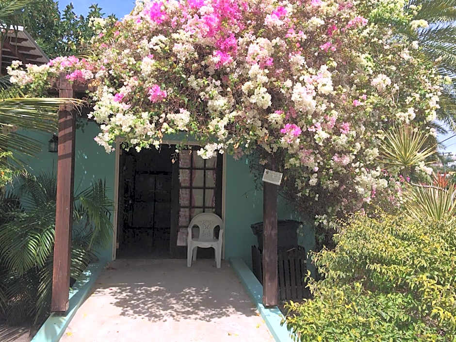 Buccaneer Beach Club