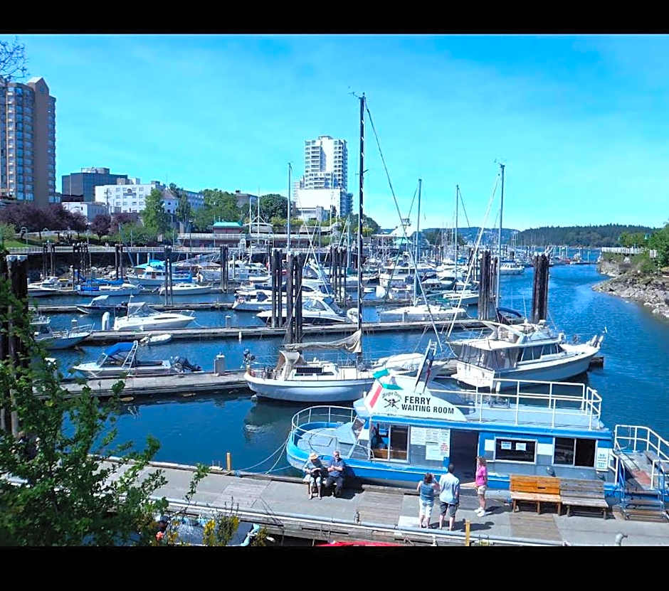 Painted Turtle Guesthouse