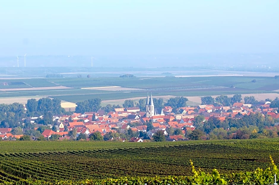 Dohlmühle Gästehaus & Weingut