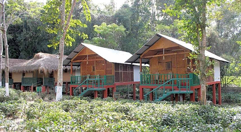 Nature Hunt Eco Camp Kaziranga 