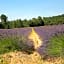 Les Yourtes de Provence