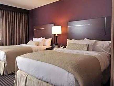 Double Suite - Wellness Allergy Friendly