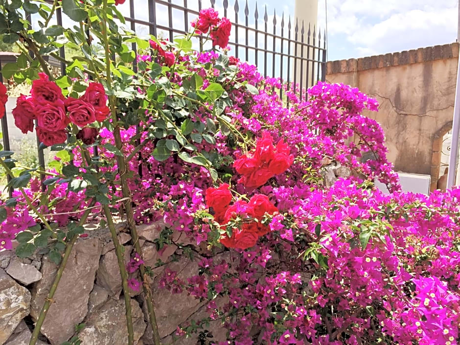 B&B Terre Di Sicilia