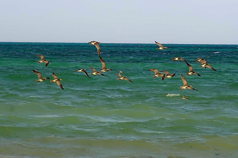 Mbuyuni Beach Village