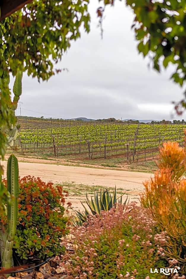 En'kanto Valle de Guadalupe