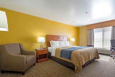 1 King Bed, Nonsmoking, Accessible