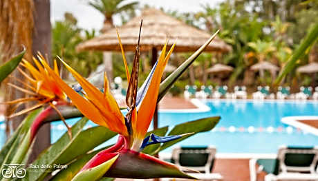 Baia Delle Palme Beach