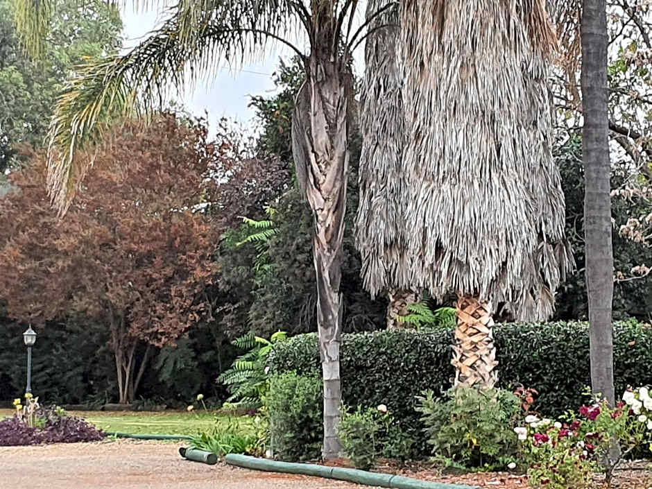 McNevins Tamworth Motel