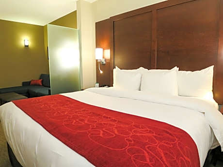 King Suite with Sofa Bed