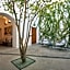 Casa Carmen Morelos