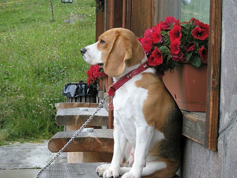 Albergo Chalet Lago Antorno