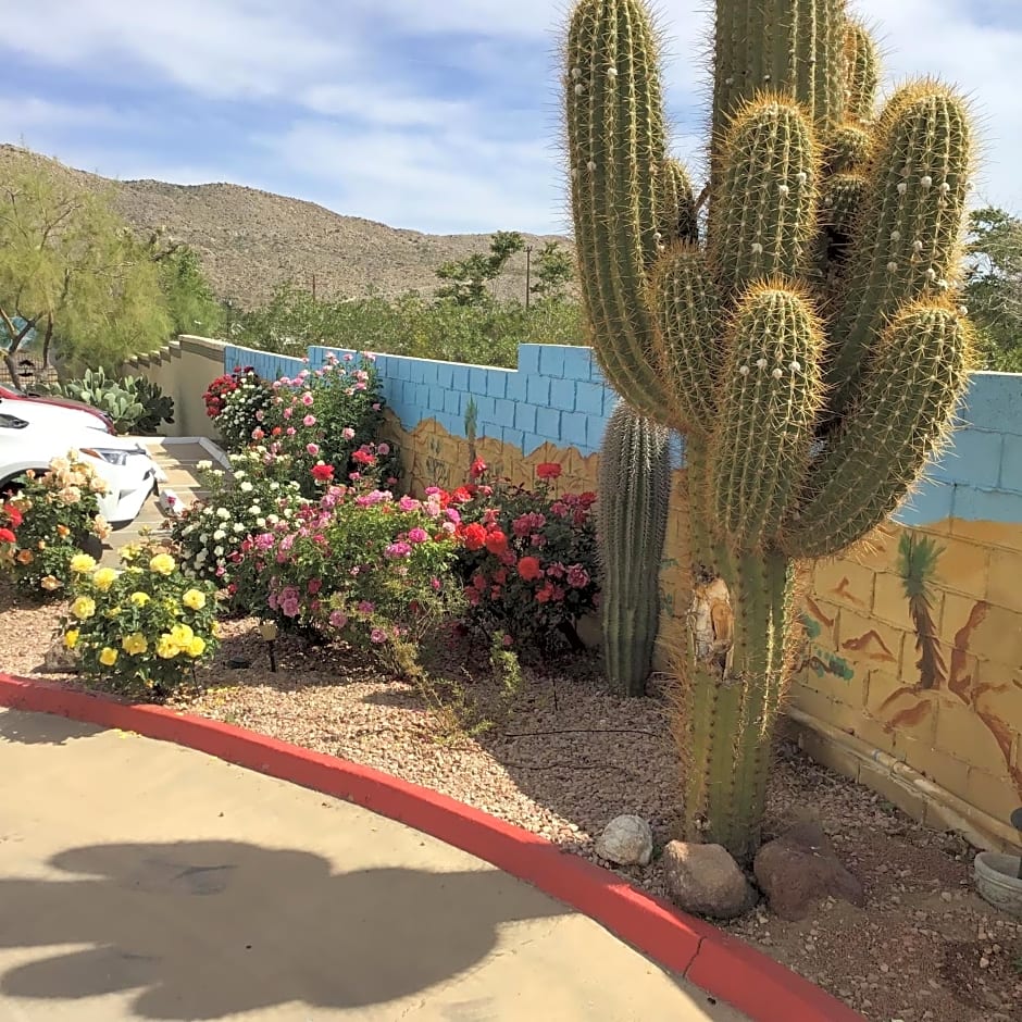 Americas Best Value Inn & Suites Joshua Tree National Park