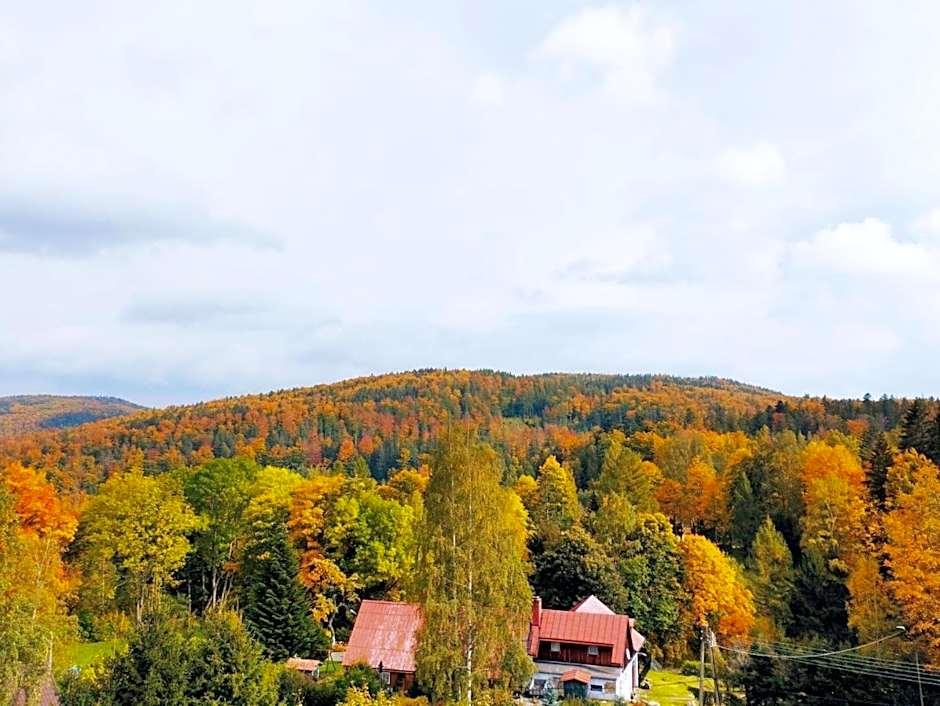 Koralowa Ścieżka
