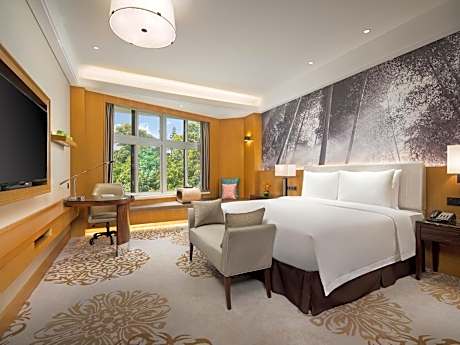 Superior Room(king-size bed)