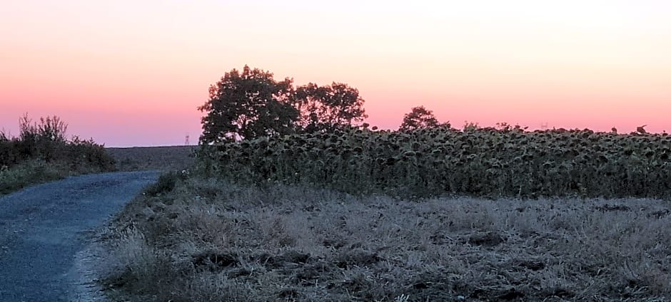 Les Glycines de Monchy- Chambres d'hôtes
