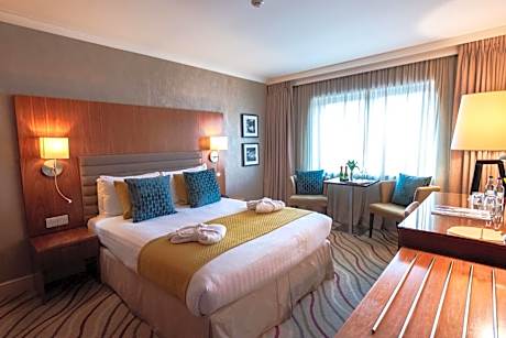 Executive Double or Twin Room
