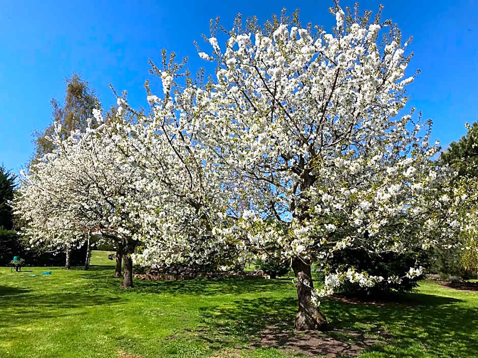 Chambres d'hôtes les Etoiles