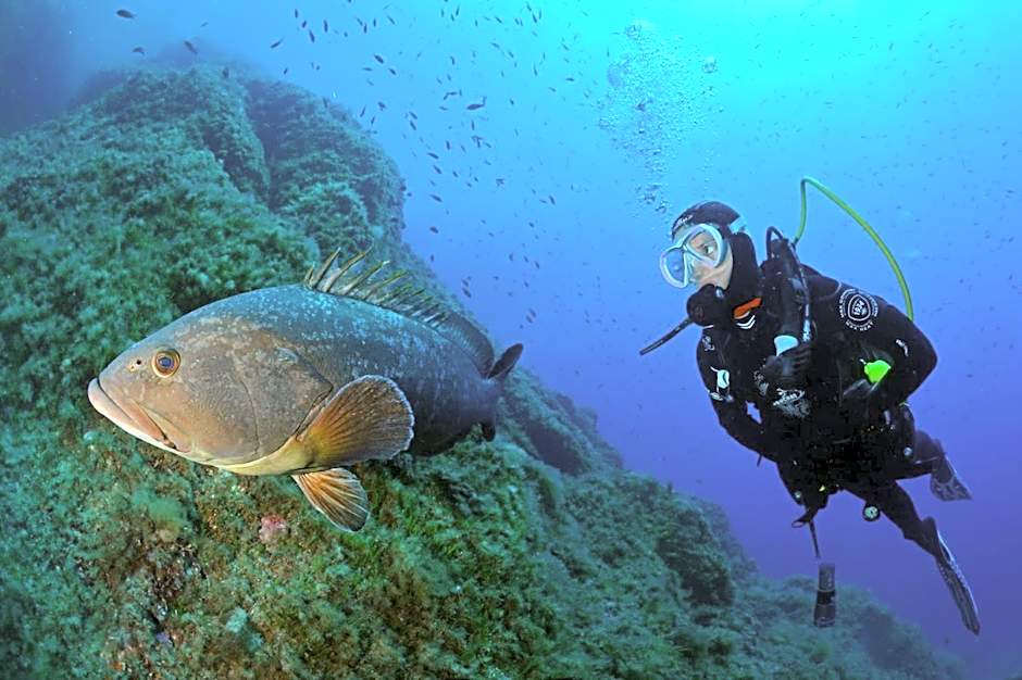 Hôtel Le Méditerranée