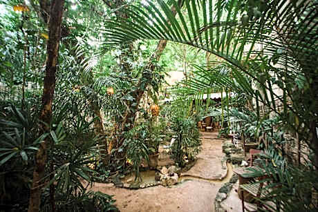 Hotel La Semilla, Playa del Carmen, a Member of Design Hotels