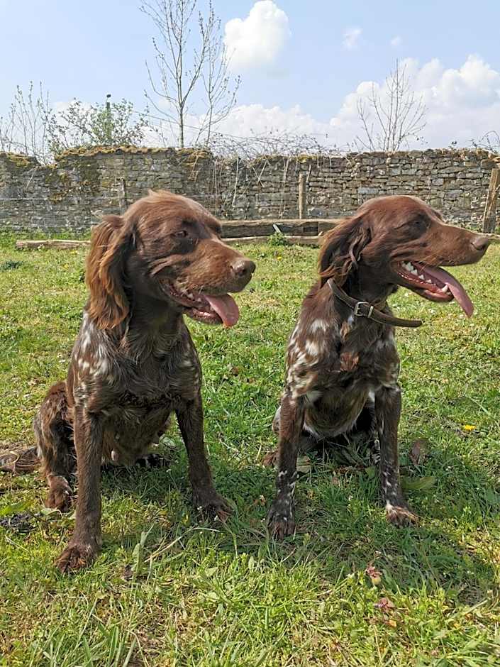 B&B A la Ferme d'Ourches