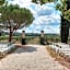 Paradis Des Vignes