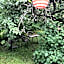Villa Lyckan