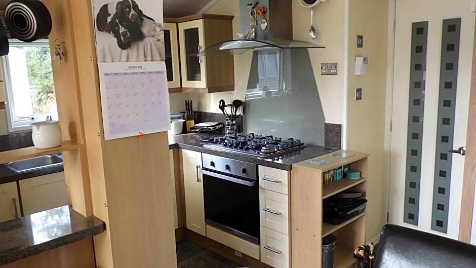 Violet 28 Oakdene Forest Park