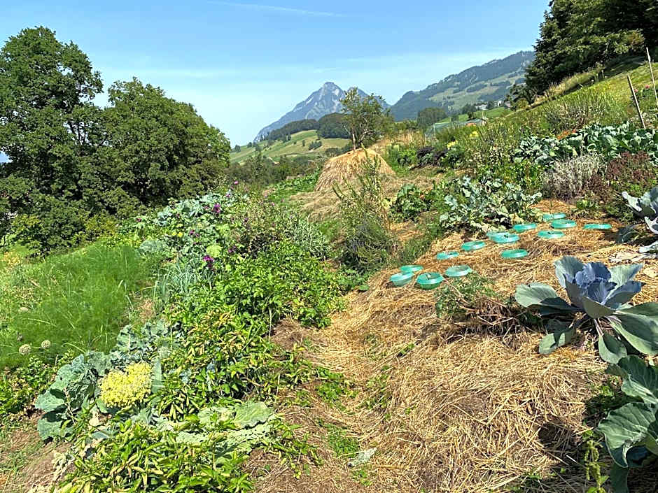 zentrumRANFT Seminarhaus - Haus der Stille