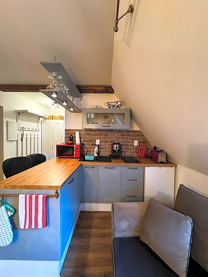 Opera apartments - Mestský palác