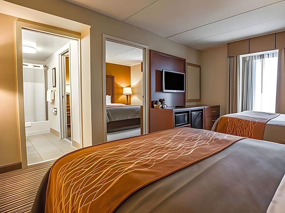 Comfort Inn At The Park