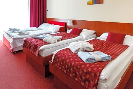 Double or Twin Room with Extra Bed, Balcony and Aquapark access