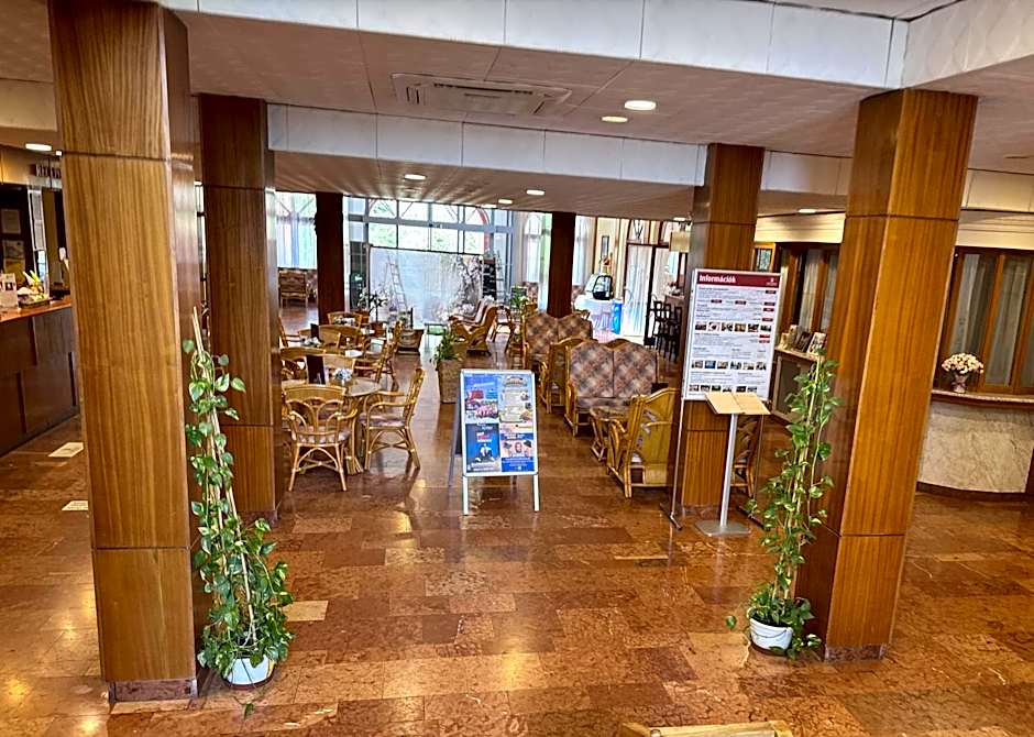 Mátyás Király Gyógy- és Wellness Hotel