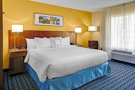 Room, 1 King Bed
