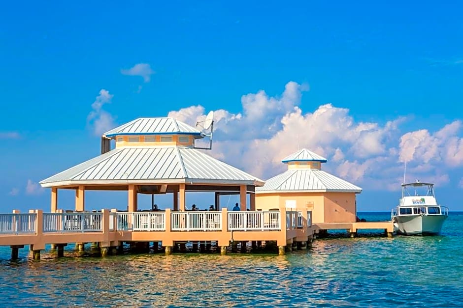 Morritt's Tortuga Club